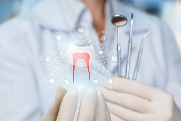 Professional Dental Services in Redington Beach, FL